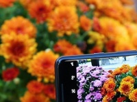 SMARTlife:     -   Yes.ua