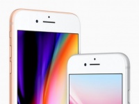 Apple  iPhone SE 2  13  ,    iPhone 6