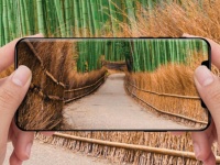   OmniVision OV64C  64    