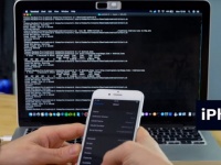    Android 10  iPhone,  Apple  