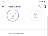 Android 11 DP2    Pixel 4  Pixel 4 XL