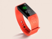 Xiaomi Redmi Band - -  