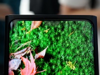      . Samsung       Galaxy S21