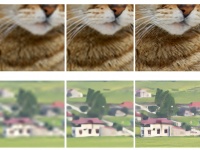 OPPO          AI  CVPR 2020,   