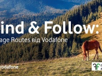 Find & Follow: Vodafone       