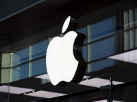 Apple    ,  IBM  ,     S&P 500