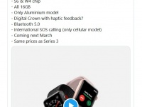 Apple        Watch SE ()