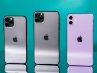  iPhone 12   ,  iPhone 12 Max  40% 