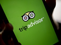  Tripadvisor    100    