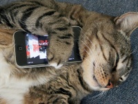 SMARTlife: -5    !      ?!