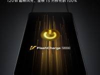 Vivo     IQOO 7  Snapdragon 888