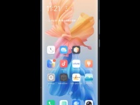   Vivo iQOO Neo 5   Snapdragon 870   