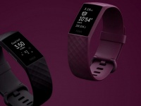 -     . Fitbit    NASA