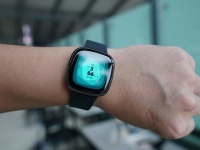 Google      .  Fitbit   Google Store