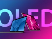  OLED- Apple     (+ )