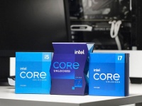 Intel ,  AMD.          
