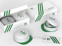 Samsung  Galaxy Buds Pro   Adidas     