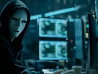  12 .     Bitfinex  2016      