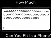  Flip- : ASUS    Zenfone 8