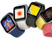 Apple     Watch Series 6  Watch SE