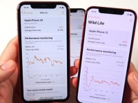   2,5   iPhone XR   iPhone 12   iOS 14.5.1