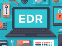  EDR  2021 