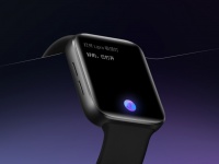 Meizu     Meizu Watch