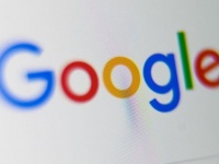 Alphabet       Amazon   