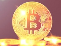 SMARTlife:   -    2008     2021 