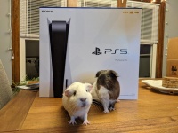 Sony    - PlayStation 5