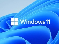 Windows 11     20 