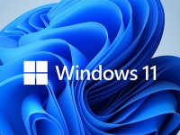 Microsoft       Windows 10  Windows 11