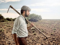  ,   Chia     ,        Backblaze