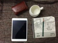 Apple    iPad Mini  