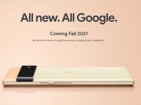 Google  ,    Pixel 6  Pixel 6 Pro