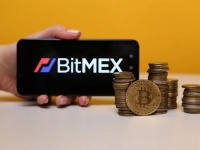  BitMEX      $100    