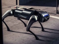 - Xiaomi   CyberDog:   ,   ,    