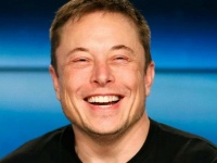     Dogecoin   35%,  Bitcoin    $47,5 