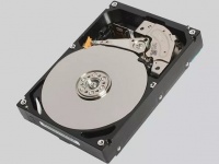 Western Digital     Seagate    