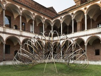 OPPO             2021