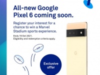      Google Pixel 6  Pixel 6 Pro