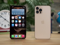    120     iPhone 13 Pro  iPhone 13 Pro Max: Apple    