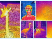 Blackview BV6600 Pro :    