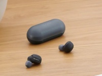 Sony          WF-C500