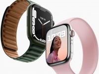 Apple Watch   .  Watch Series 8     