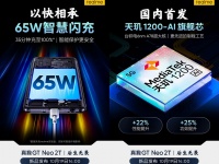 Realme GT Neo 2T  12    65- 