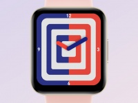   Redmi Watch 2     .    AMOLED  1,6 