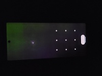  Pixel 6  Pixel 6 Pro       