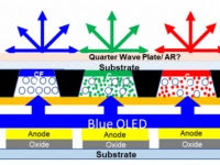 Samsung  LG    OLED-