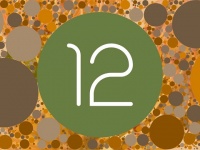   Android 12     .          